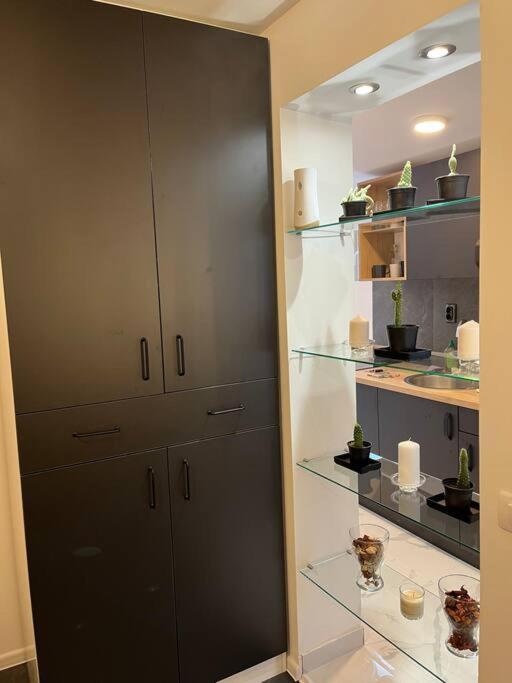 Lovely Apartment In City Center . Belgrado Esterno foto